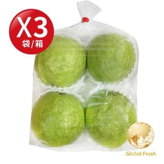 【盛花園蔬果】高雄燕巢珍珠芭樂 1.2kgx3袋(國民水果_現採直送)