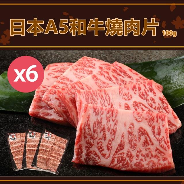 【日本和牛】日本頂級A5和牛燒肉片100gX6盒(肉質鮮嫩/露營烤肉火鍋皆適宜；賞味期:2024/06/04)
