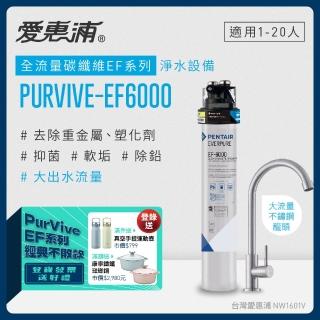 【EVERPURE 愛惠浦】PURVIVE-EF6000生飲級單道式廚下型淨水器