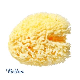 【Bellini】地中海天然蜂窩洗澡海棉 沐浴海綿(9-10公分)