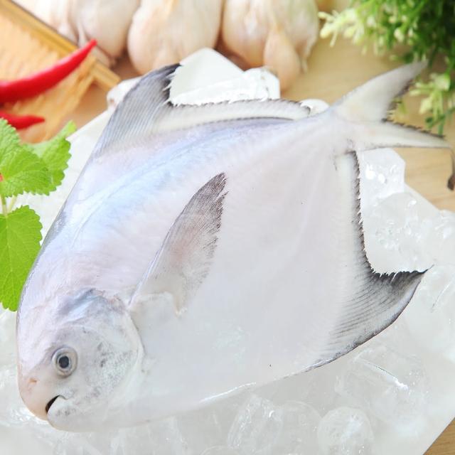 2024鱈魚推薦10款高評價鱈魚品牌排行 | 好吃美食的八里人