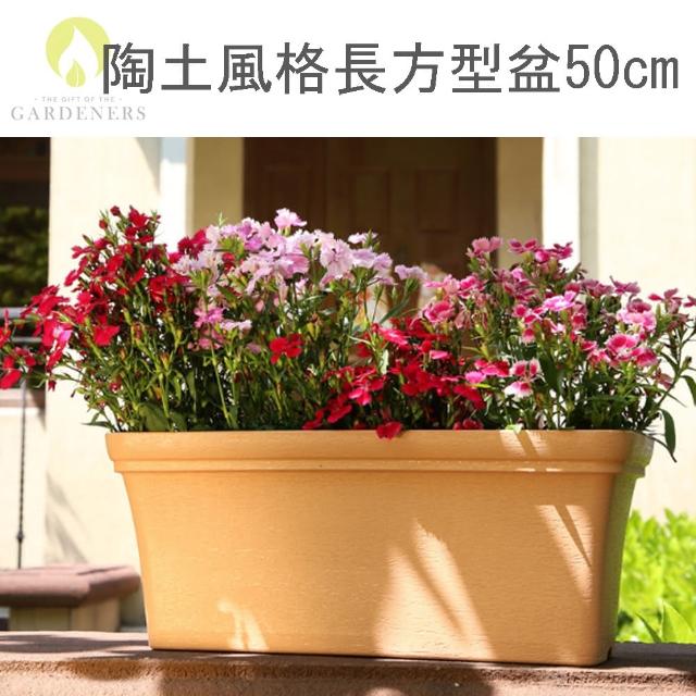 【Gardeners】陶土風格長方型花盆50cm附底盤-1入(鄉村風/田園風 