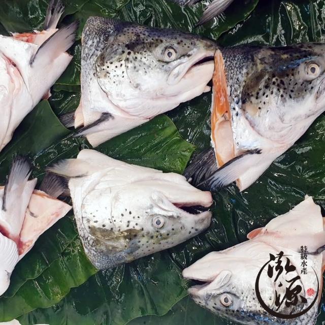 2024鮭魚頭推薦10款高評價鮭魚頭品牌排行 | 好吃美食的八里人