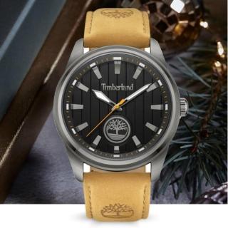 【Timberland】天柏嵐 NORTHBRIDGE系列 條紋簡約 腕錶 皮帶-黑色/咖啡色45mm(TDWGA0010204)