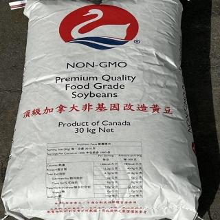 【皮果家】頂級加拿大非基因改造黃豆30Kg/原裝袋(30KG營業用)