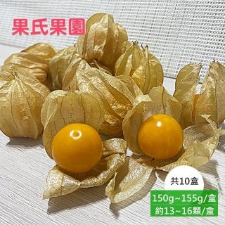 【果氏果園】日本品種鮮採黃金莓x10盒(約150~155g/盒_約13~16顆/盒_彰化產地直送_燈籠果_姑娘果)