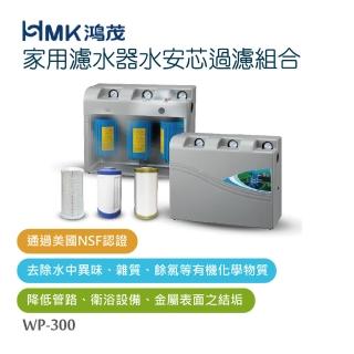 【HMK 鴻茂】家用濾水器水安芯過濾組合 不含安裝 WP-300