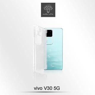 【Metal-Slim】Vivo V30 5G 精密挖孔 強化軍規防摔抗震手機殼