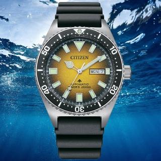 【CITIZEN 星辰】PROMASTER系列 防水200米 潛水機械腕錶 母親節 禮物(NY0120-01X)