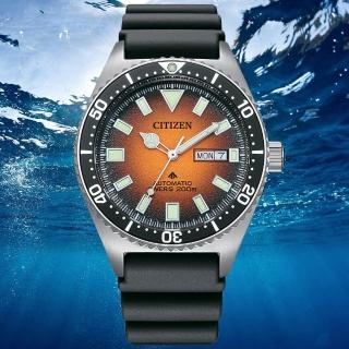 【CITIZEN 星辰】PROMASTER系列 防水200米 潛水機械腕錶 母親節 禮物(NY0120-01Z)