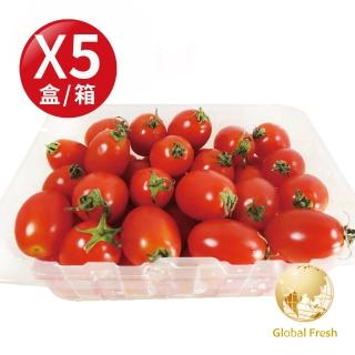 【盛花園蔬果】嘉義聖女番茄600g x5盒(高CP值_四季水果)