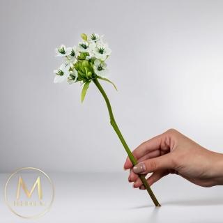 【Floral M】伯利恆之星白色天鵝絨仿真花花材 （2入組）(人造花/塑膠花/假花/裝飾花)
