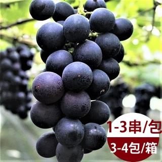 【水果達人】台灣一級巨峰葡萄禮盒3斤x1箱(1-3串/包)