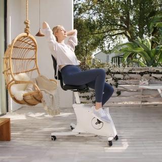 【Flexispot】人體工學 F211DBU 辦公升降健身椅(辦公 健身 休閒)