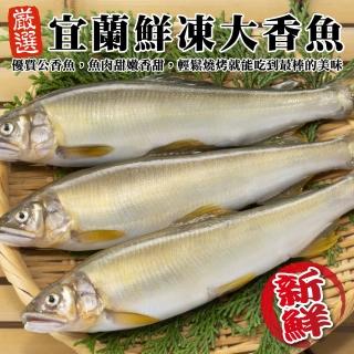 【三頓飯】宜蘭鮮凍大香魚(共16尾_8尾/920g/盒)