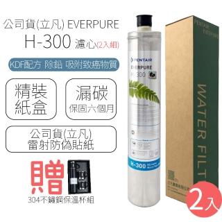 【EVERPURE】濾心 H-300 / H300(2入組)