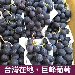 【仙園】台灣在地 溫室巨峰葡萄 整箱原裝 約5kg±10%(冷藏配送)