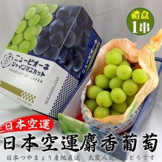 【WANG 蔬果】日本麝香無籽葡萄1房x1盒(450-500g/串_禮盒/空運直送)