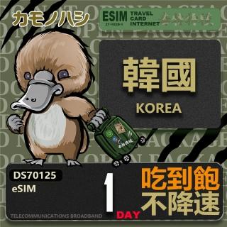 【鴨嘴獸 旅遊網卡】韓國eSIM 單日吃到飽 高流量網卡(韓國上網卡 免換卡 高流量上網卡)