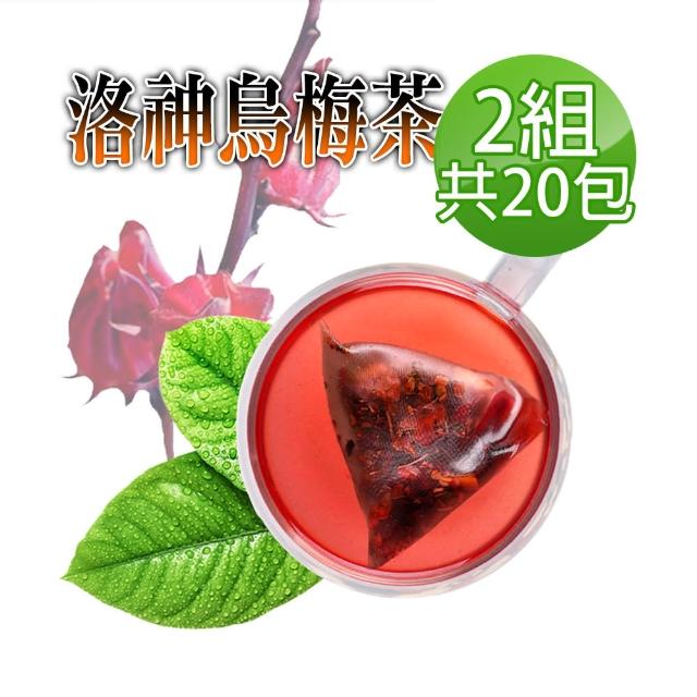 【蔘大王】洛神烏梅茶包X2組（6gX10入/組）(促進新陳代謝 開胃 油切解膩 天然快樂人身)