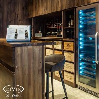 【DIVIN】DV-589TS 可嵌入單門三溫葡萄酒櫃(145瓶750mL波爾多標準瓶)