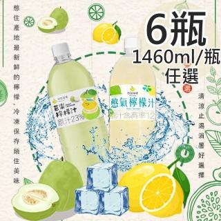 【Becky Lemon 憋氣檸檬】檸檬汁/芭樂檸檬汁任選6瓶(1460ml/瓶)