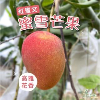 【禾ME】精品蜜雪芒果8-10顆3公斤(預計5月中開始出貨)