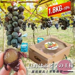 【果樹寶石】中部溫室巨峰葡萄4包x2盒（約450克/包）(溫室栽培 低溫農場直送 下單才採最新鮮)