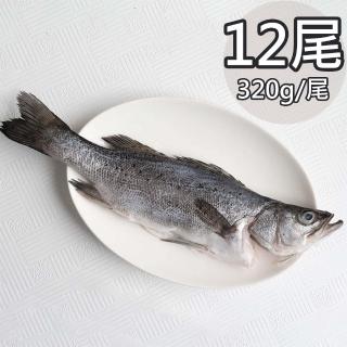 【天和鮮物】日本真鱸12包(320g/尾)