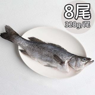 【天和鮮物】日本真鱸8包(320g/尾)