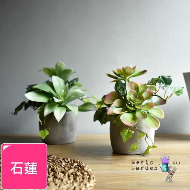 【Meric Garden】高仿真多肉植物療癒手工水泥小盆栽_石蓮- momo 