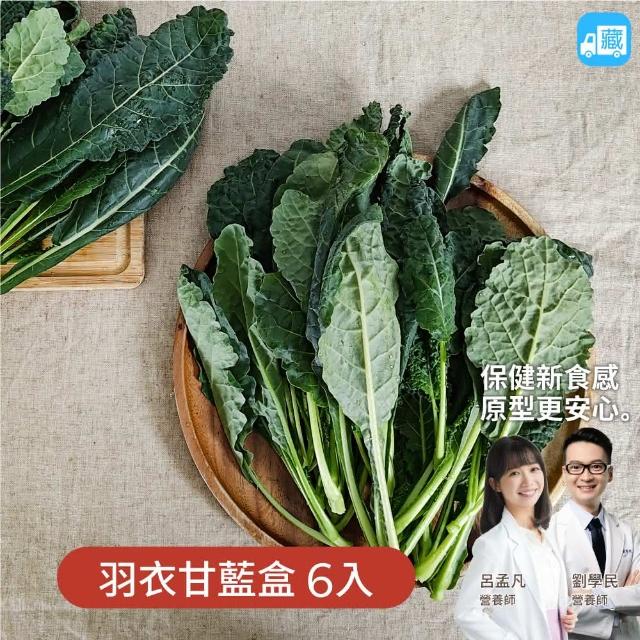 【NICE GREEn 美蔬菜】羽衣甘藍盒 200g 6入(生菜 沙拉 蔬菜 防疫健康組)