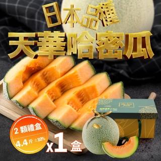 【果樹寶石】天華網紋哈密瓜兩顆禮盒x1盒（4-4.4斤/盒）(香甜多汁 軟糯超順口 限量販售)