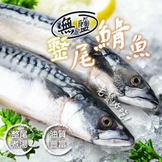 【一手鮮貨】無鹽整尾挪威鯖魚(整箱10kg/單尾600g~550g/鯖魚)