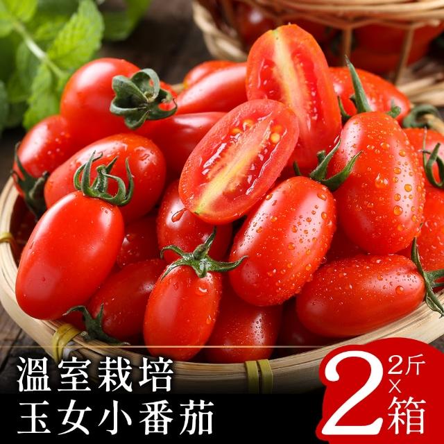 【嘉南小農】溫室栽培玉女小番茄2台斤x2箱(2盒/箱)