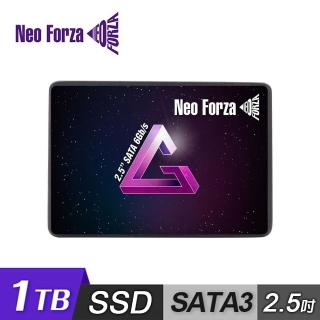 NFS01 1TB 2.5吋 SATAⅢ 固態硬碟