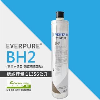 【EVERPURE】BH2活性碳濾芯/BH-2平行輸入濾芯(★享黑水保固)