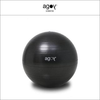 【agoy】Yoga Ball 瑜珈球