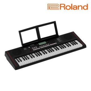 【ROLAND 樂蘭】入門款首選電子琴 61鍵攜帶式電子琴｜E-X10(自動伴奏琴 KB 電子琴 電子鋼琴 伴奏電子琴)