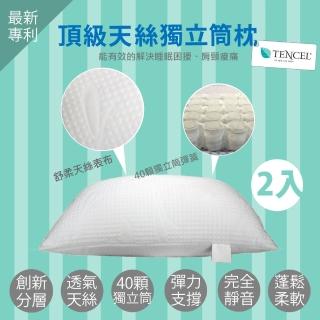 【DeKo岱珂】MIT台灣製造 御用天絲舒壓獨立筒枕(二入)