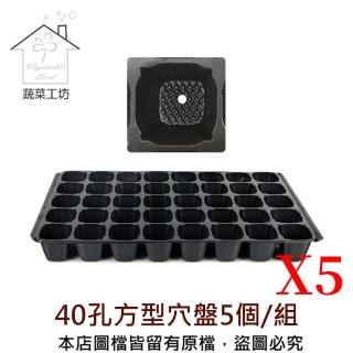 【蔬菜工坊】40孔方型穴盤5個/組(0.7mm加厚款)