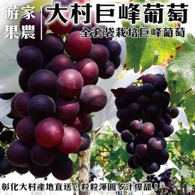 【WANG 蔬果】彰化大村巨峰葡萄4斤x4箱(3-4串/箱_果農直配)