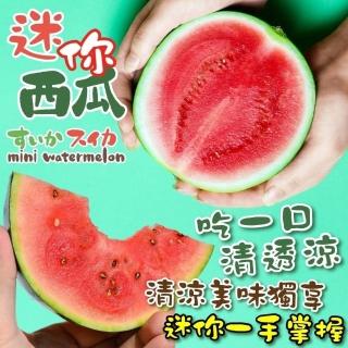 【WANG 蔬果】台灣迷你粉嫩西瓜x4顆(200-220g/顆_獨家限定)
