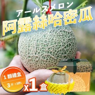 【果樹寶石】中部日本阿露斯哈密瓜1顆x1盒（3斤/盒）(產銷履歷 無毒無農藥殘留 農場常溫配送)