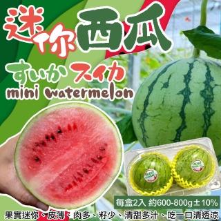 【WANG 蔬果】日本品種MINE BALL迷你粉嫩西瓜2顆x1盒(1kg/盒_獨家限定)