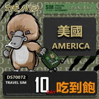 【鴨嘴獸 旅遊網卡】Travel Sim 美國 10日 吃到飽上網卡 旅遊卡(美國 上網卡)