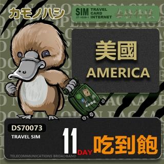 【鴨嘴獸 旅遊網卡】Travel Sim 美國 11日 吃到飽上網卡 旅遊卡(美國 上網卡)