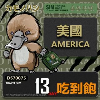 【鴨嘴獸 旅遊網卡】Travel Sim 美國 13日 吃到飽上網卡 旅遊卡(美國 上網卡)
