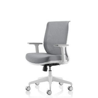 【4Health 舒樂活】iChair（白框3D扶手） — 居家辦公椅(電腦椅 辦公椅 腰靠 人體工學)
