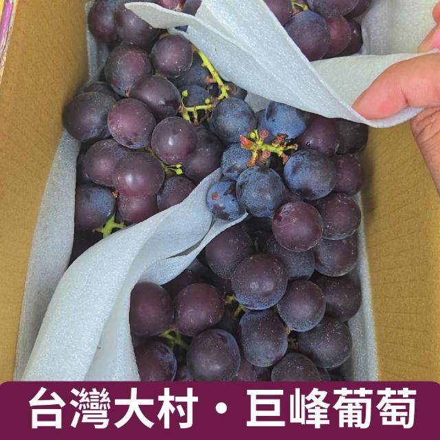 【仙園】大村室外巨峰葡萄 兩包入 單包500g±10%(冷藏配送)